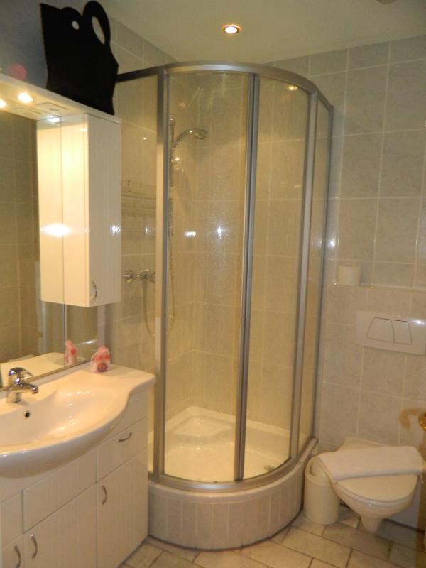 One-Bedroom Apartment image 2