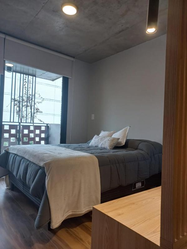 Loft Edificio Focus Brick - image 9