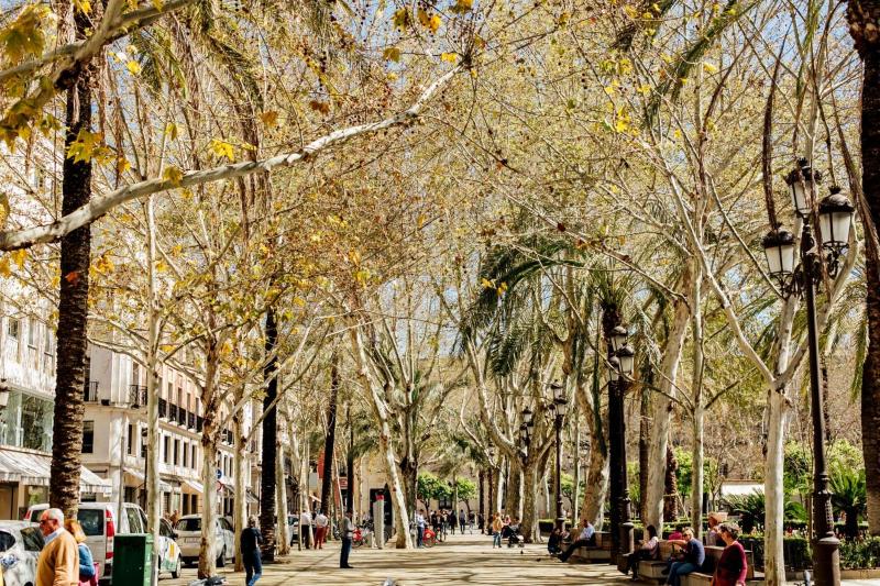 Plaza de la Magdalena I - image 13