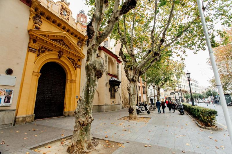 Plaza de la Magdalena I - image 3