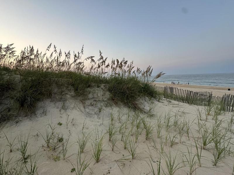 NH348 Barefootin' - image 23