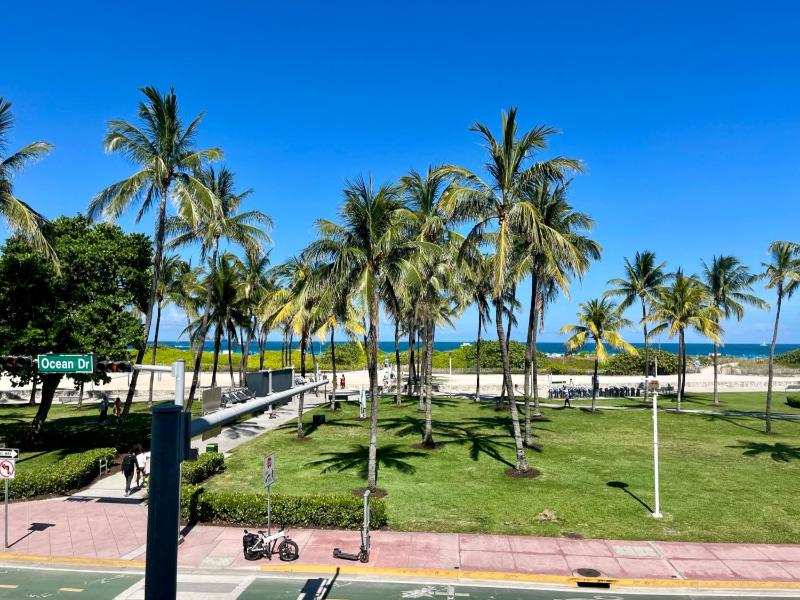 Majestic Hotel South Beach - image 11