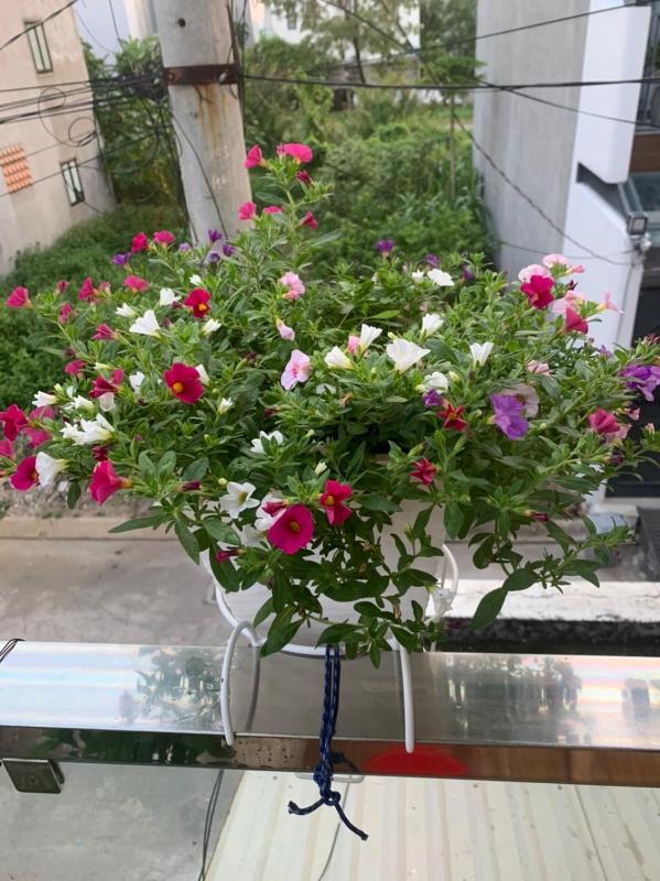 Thủ Đức Home - Nơi nghỉ ngơi như ở nhà ấm áp tình thân - image 15