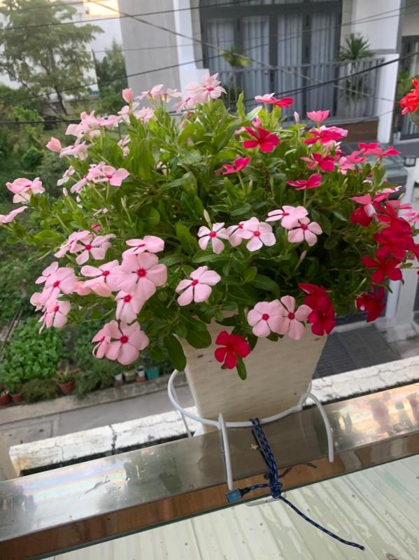Thủ Đức Home - Nơi nghỉ ngơi như ở nhà ấm áp tình thân - image 11