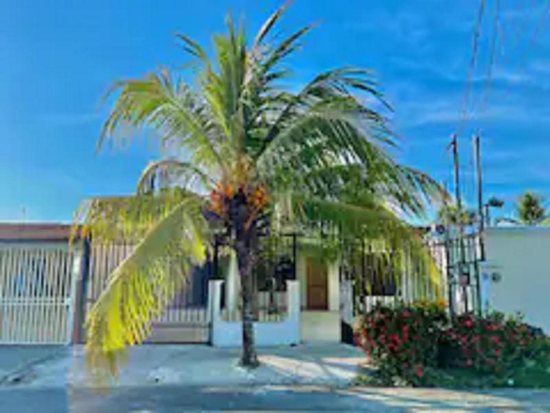 Modern Villa Steps to Nightlife - image 13