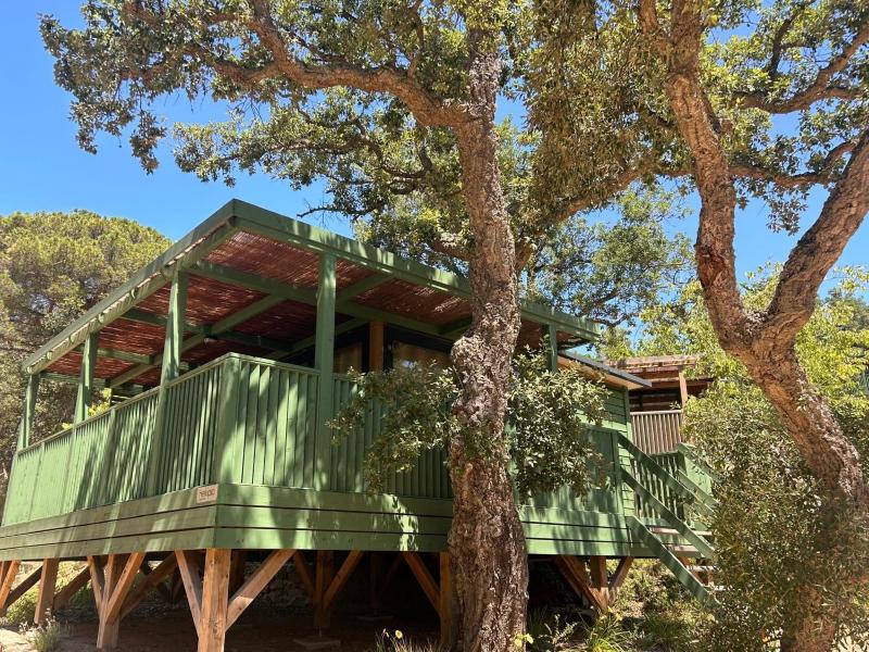 Camping Cala Pola - image 7