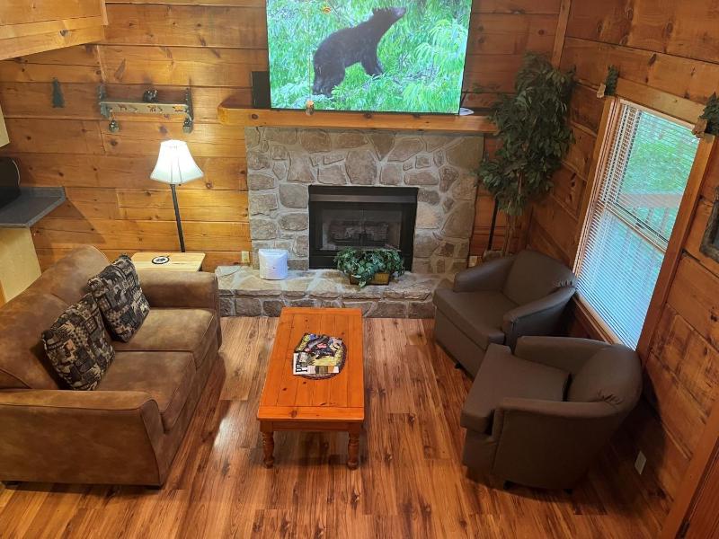 ER27- Bear Naked - Great location- Close to town cabin - image 29