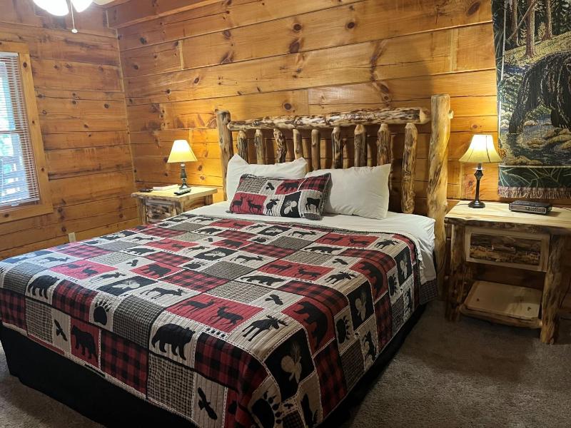 ER27- Bear Naked - Great location- Close to town cabin - image 2