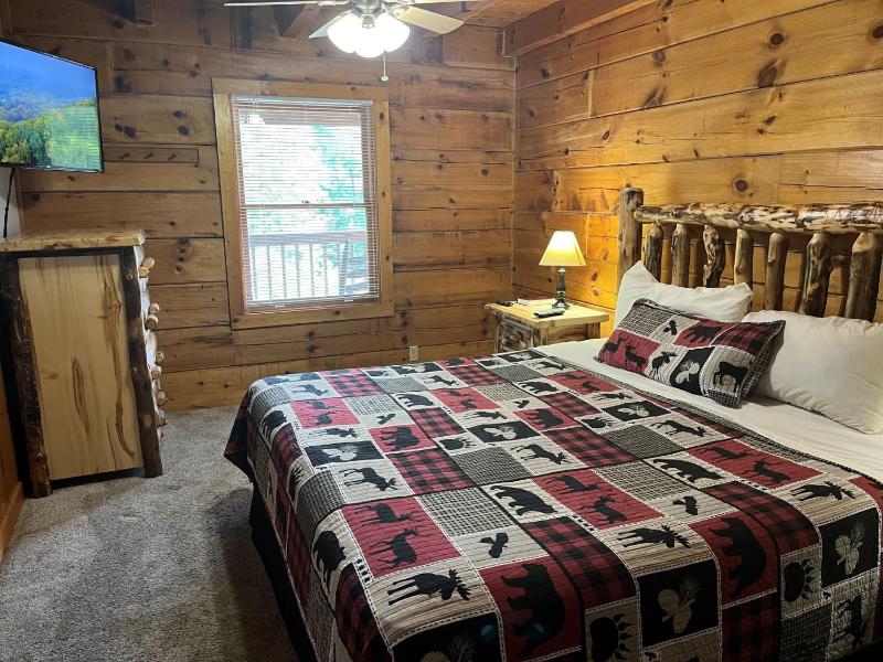ER27- Bear Naked - Great location- Close to town cabin - image 45