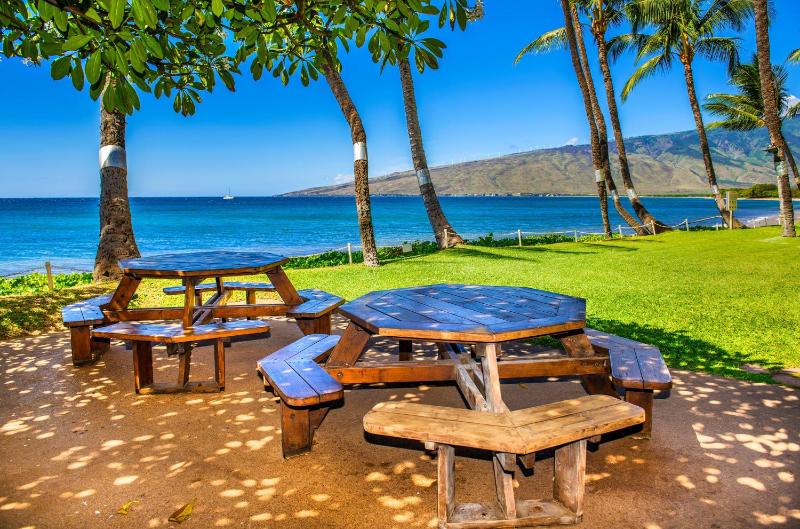 Kealia Resort 501 - image 15