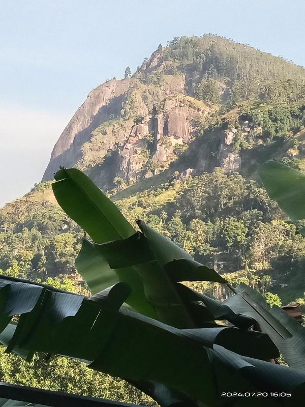 Ranuchanu Rockview Inn Ella - image 18
