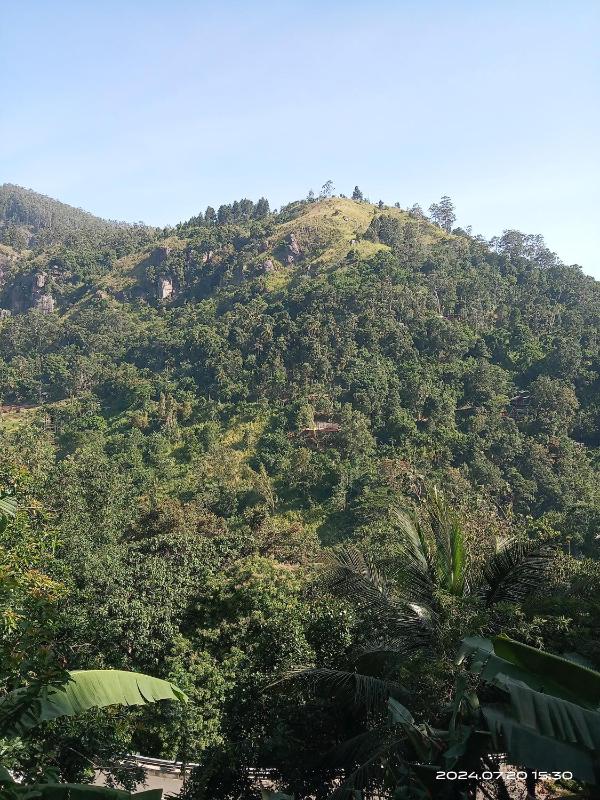 Ranuchanu Rockview Inn Ella - image 21