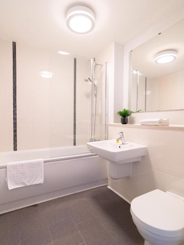 One-Bedroom Apartment image 3