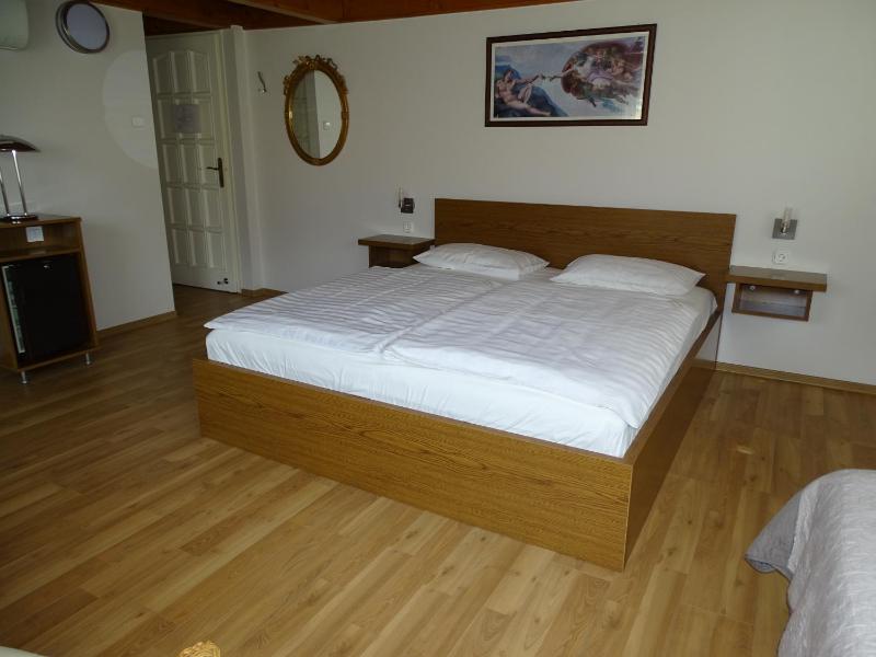 Double or Twin Room image 4