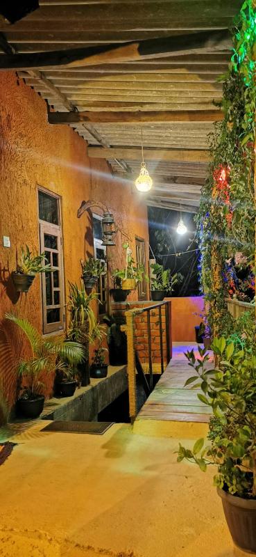 Hostal Tree House - image 15