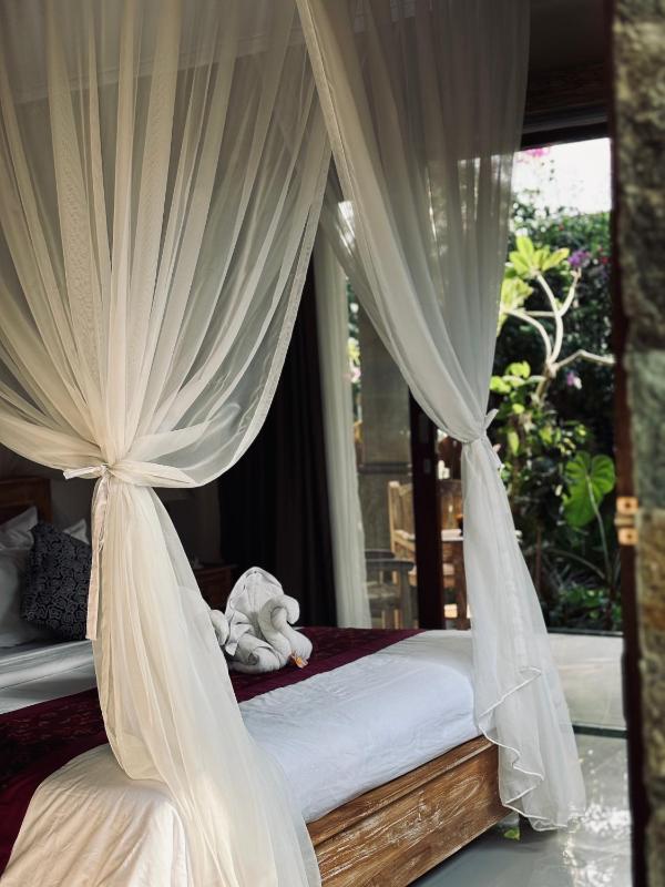 Ayis House Images