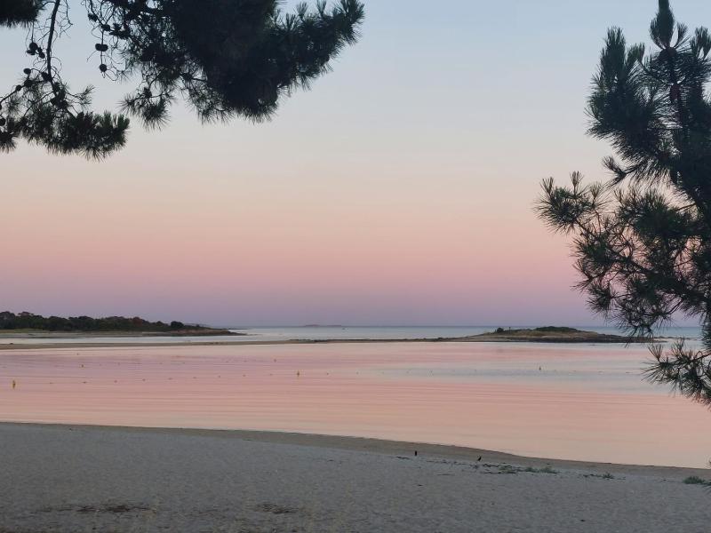 Kerlaouen - Maison avec jardin et spa - 5 min plage Carnac - image 2