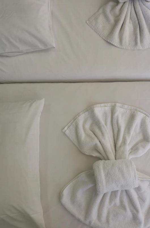Double or Twin Room image 1