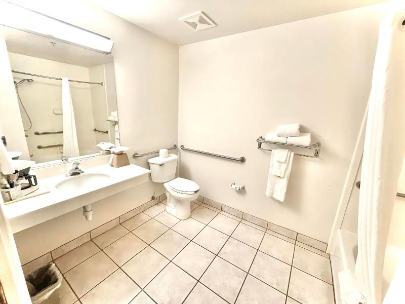 Deluxe King Suite image 2