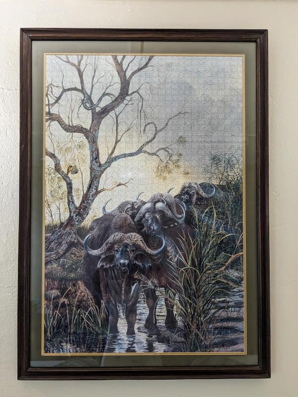 Zambezi Family Lodge - Buffalo Room - image 3