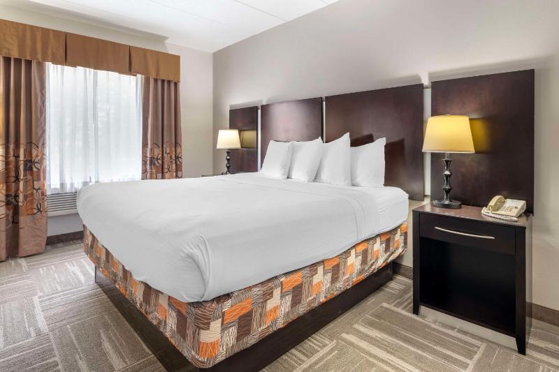 One-Bedroom King Suite with Sofa Bed - Non-Smoking image 1