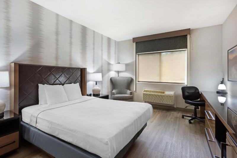 Queen Room with Roll-in Shower - Non-Smoking/Disability Access image 1