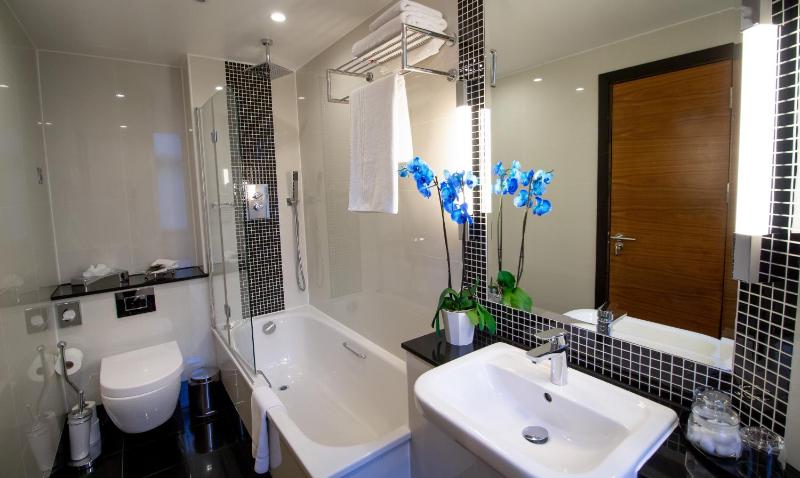 Deluxe King Room image 2