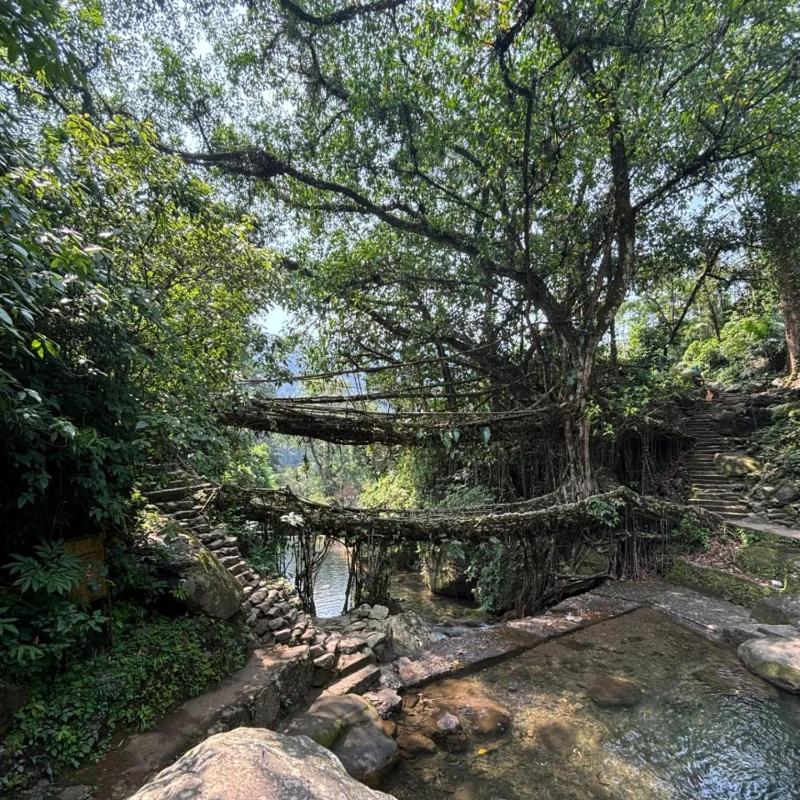 Odyssey Stays Nongriat - 3Kms trek from Main Road - image 1