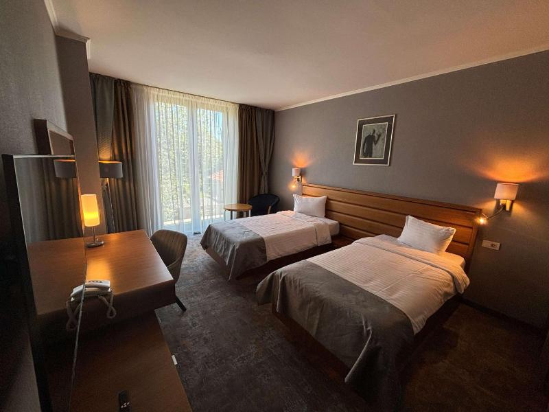 Deluxe Twin Room image 1