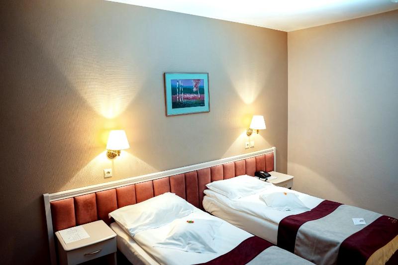 Business Twin Room - Non-Smoking image 1