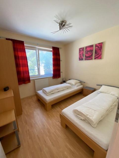 My Adventure Appartements by Schladmingurlaub - 150 Meter zur Gondel - image 18