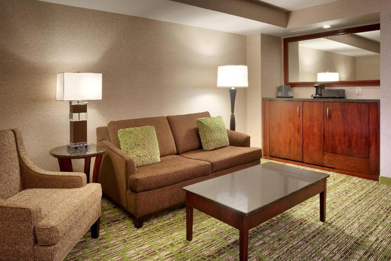 One-Bedroom King Suite with Sofa Bed image 2