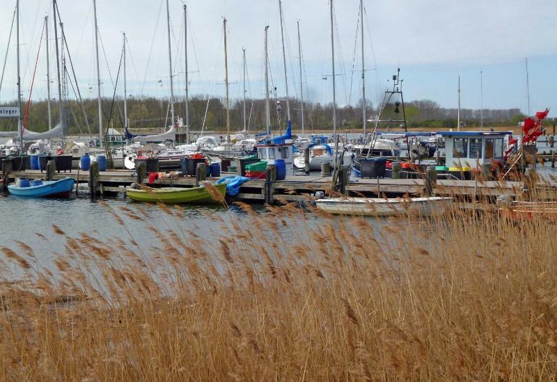 Urlaub beim Reriker Ostseefischer - image 36