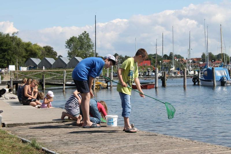 Urlaub beim Reriker Ostseefischer - image 16