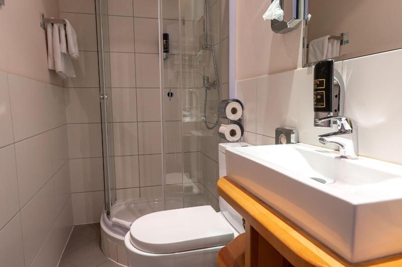 Deluxe Single Room image 2