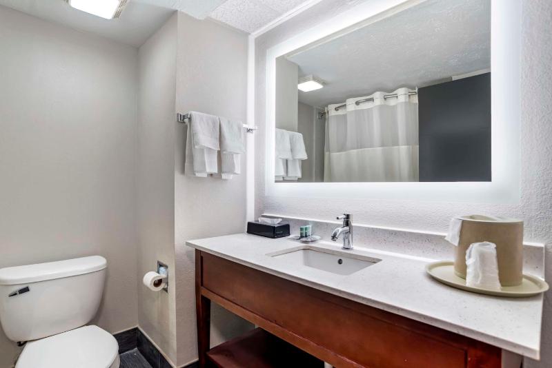 King Suite with Sofa Bed - Non-Smoking image 3