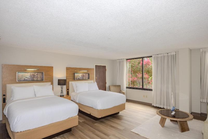 Standard Double Room image 4