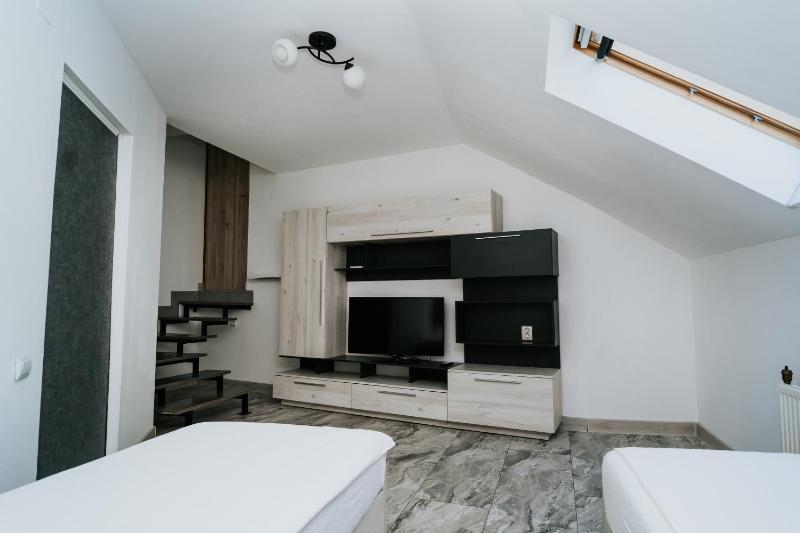 Apartment Attic - image 8