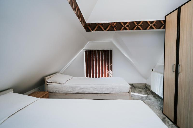 Apartment Attic - image 18