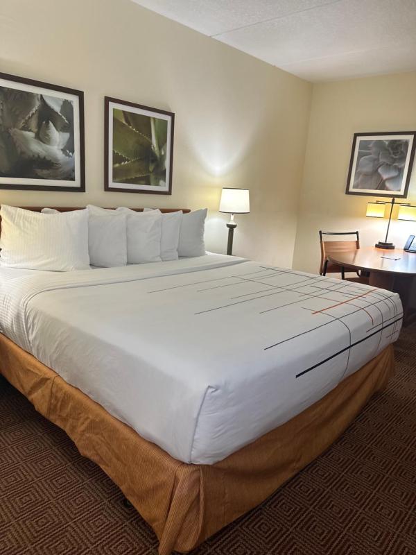 Deluxe King Room image 2