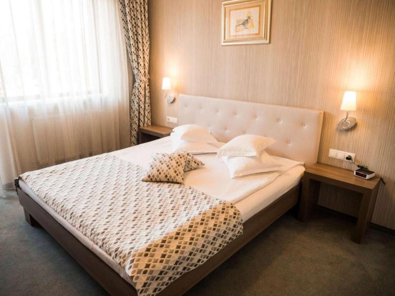 Deluxe King Suite with Sofa Bed image 2
