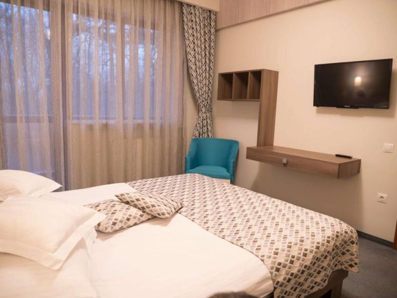 Deluxe King Suite with Sofa Bed image 1
