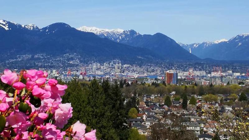 7 Bedrooms in the Heart of Vancouver - image 8