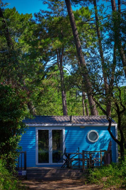Cottage Premium image 2