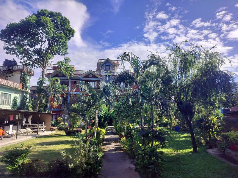 Hotel New Elia - image 5