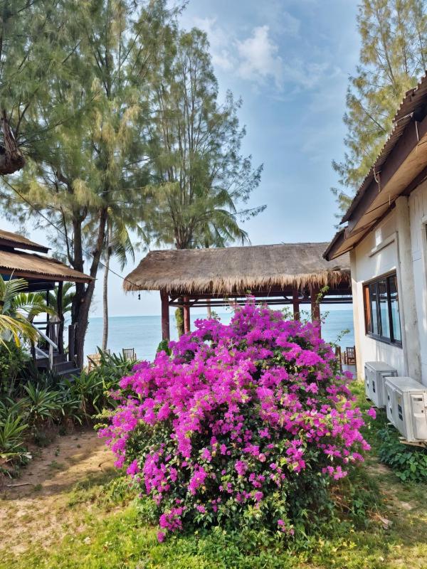 A Little Bungalows By Beach - image 36