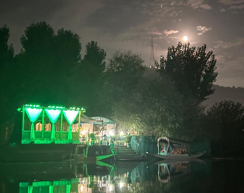 Green view group of houseboats - image 3