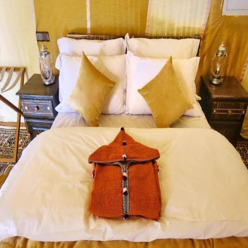 Desert Paradise Luxury Camp - image 30