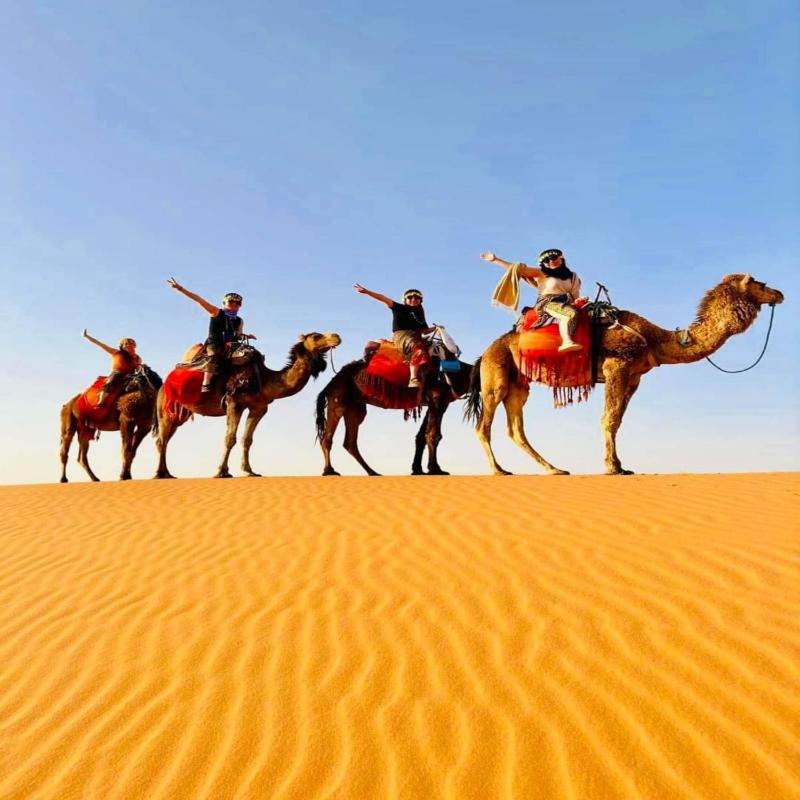 Desert Paradise Luxury Camp - image 9