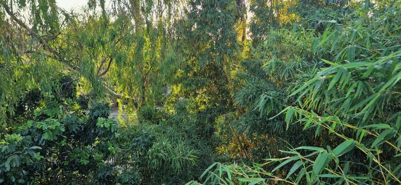 Comfort Inn Guest House - image 6